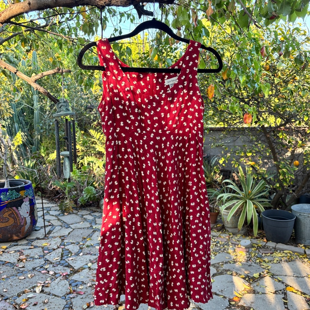 Ann Taylor Red and White Scoop Neck Mini Sundress